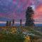 11 фильмов о путешествиях по Коми вошли в шорт-лист федерального конкурса